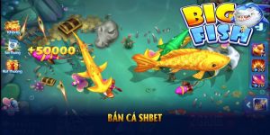 Bắn cá SHBET