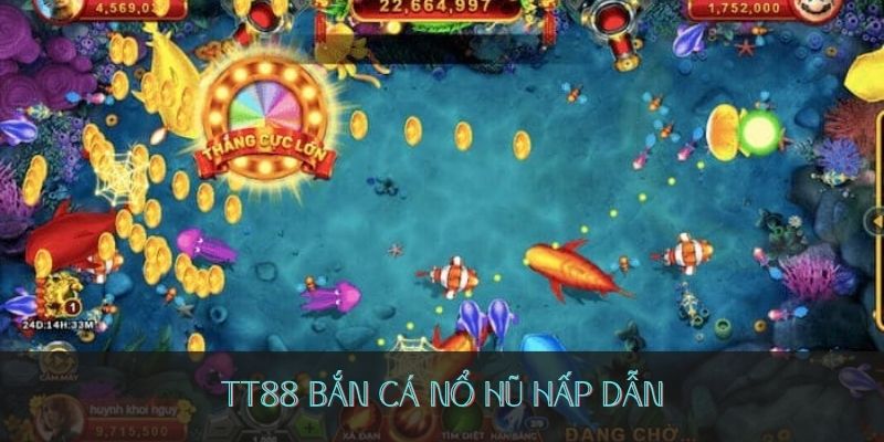 Đừng chủ quan với những con cá khổng lồ